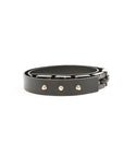 Scanlan Theodore Resin Belt