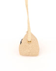 Saint Laurent Raffia Logo Crossbody