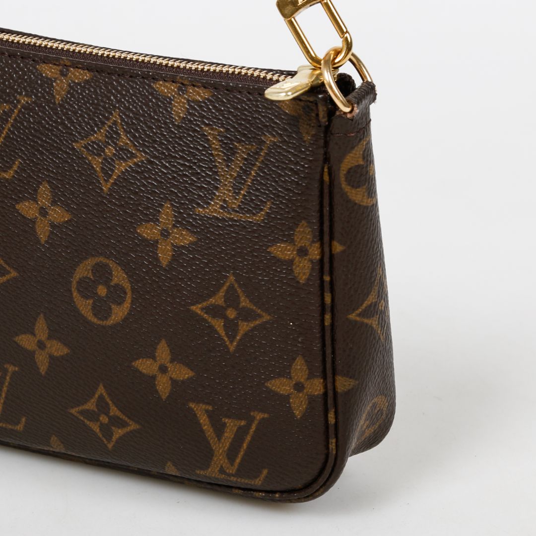 Louis Vuitton Pochette Accessoires Bag