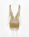 Nadine Merabi 'Sadie' Beaded Fringe Dress size XS