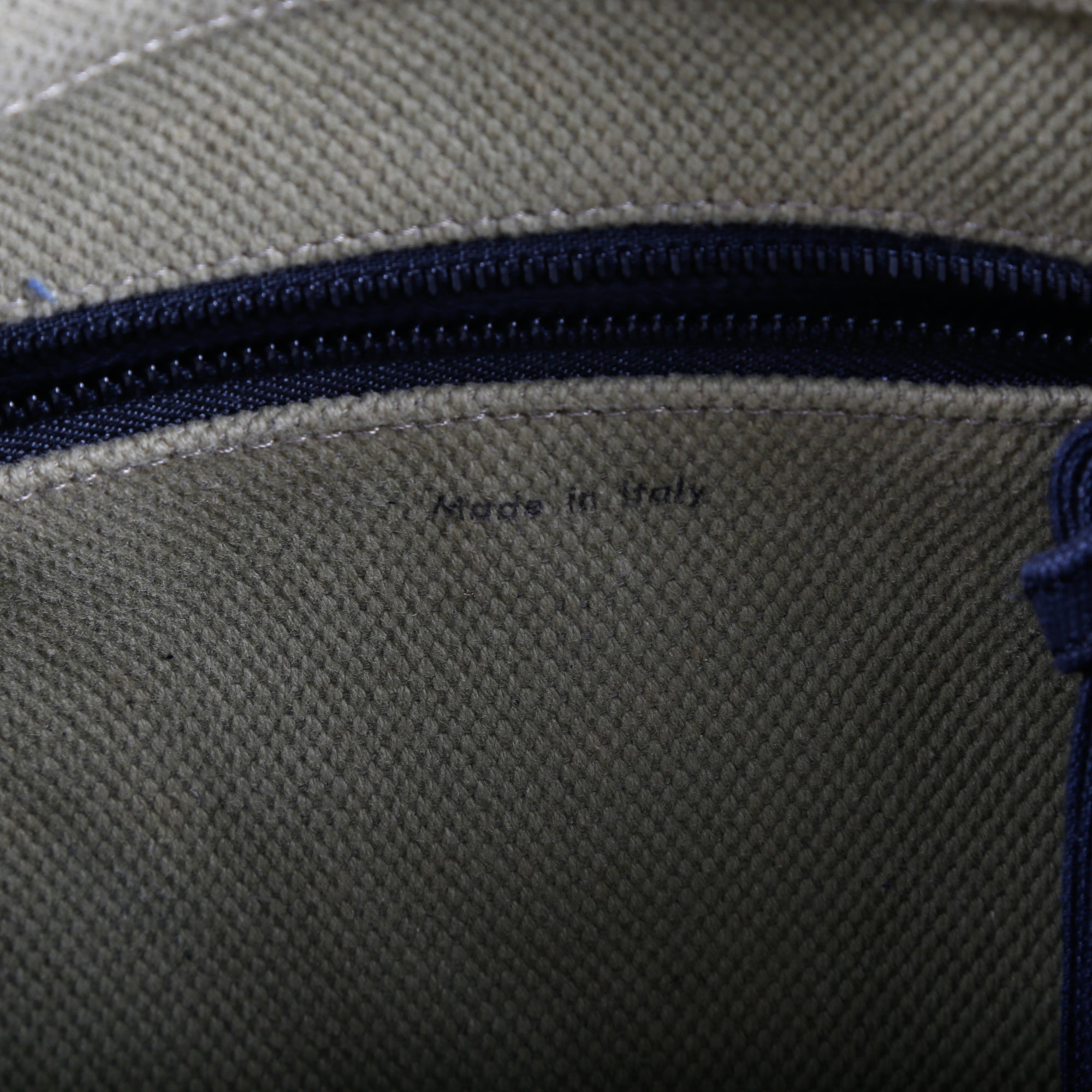 Celine Canvas Phantom Luggage Tote