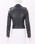Scanlan Theodore Leather Biker Jacket Size 6