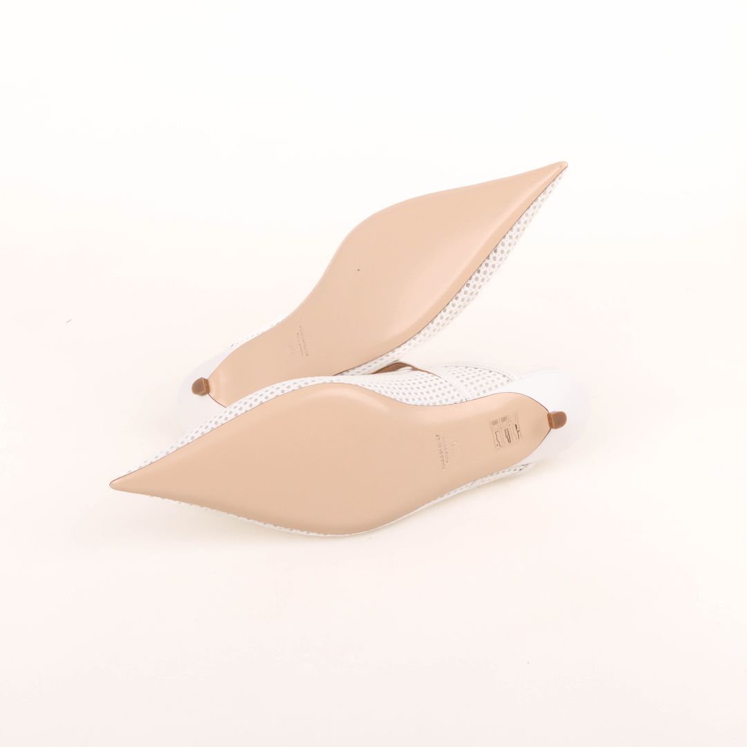 Scanlan Theodore Mesh Slides Size 40