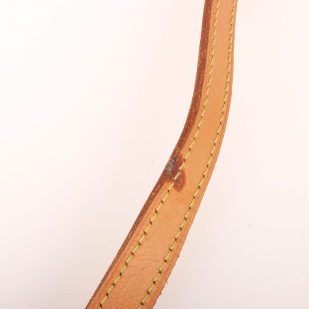 Louis Vuitton Musette Tango Crossbody Bag